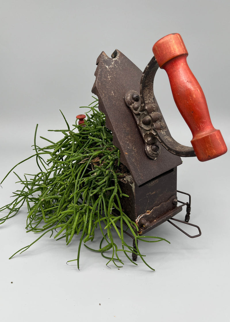 Besondere Einzelstücke