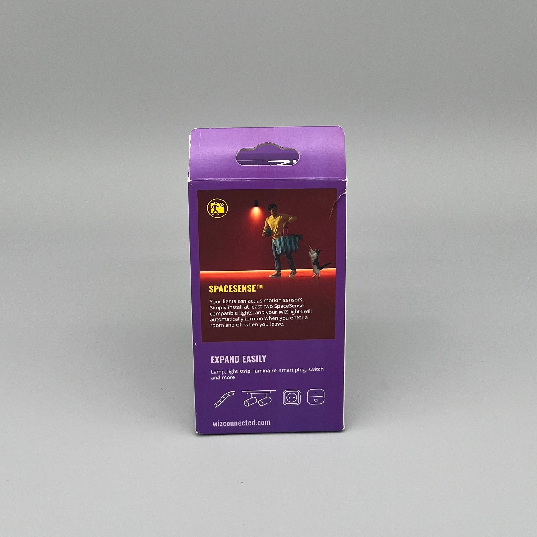 Wiz Smart Bulb, Retro Bernstein