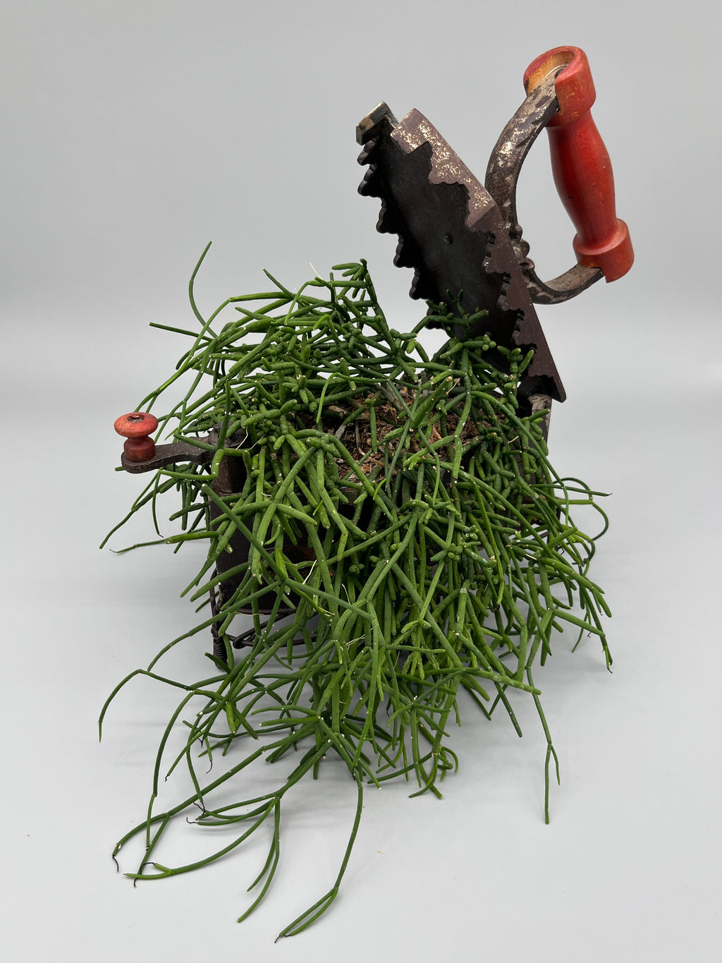 Pflanzentopf Griselda – Unikat