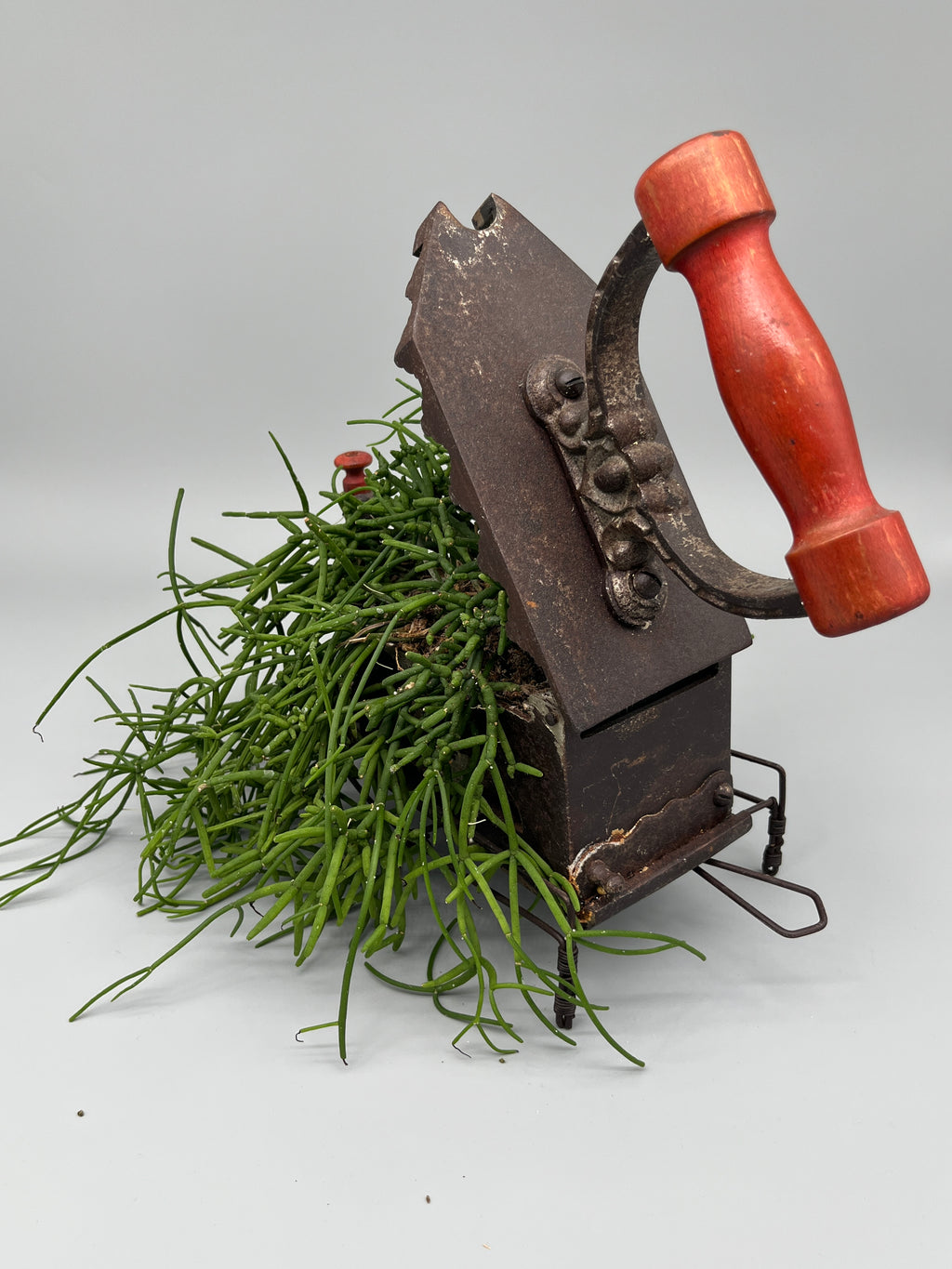 Pflanzentopf Griselda – Unikat