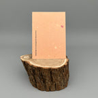 Karte handgeschöpft – Tannenbaum